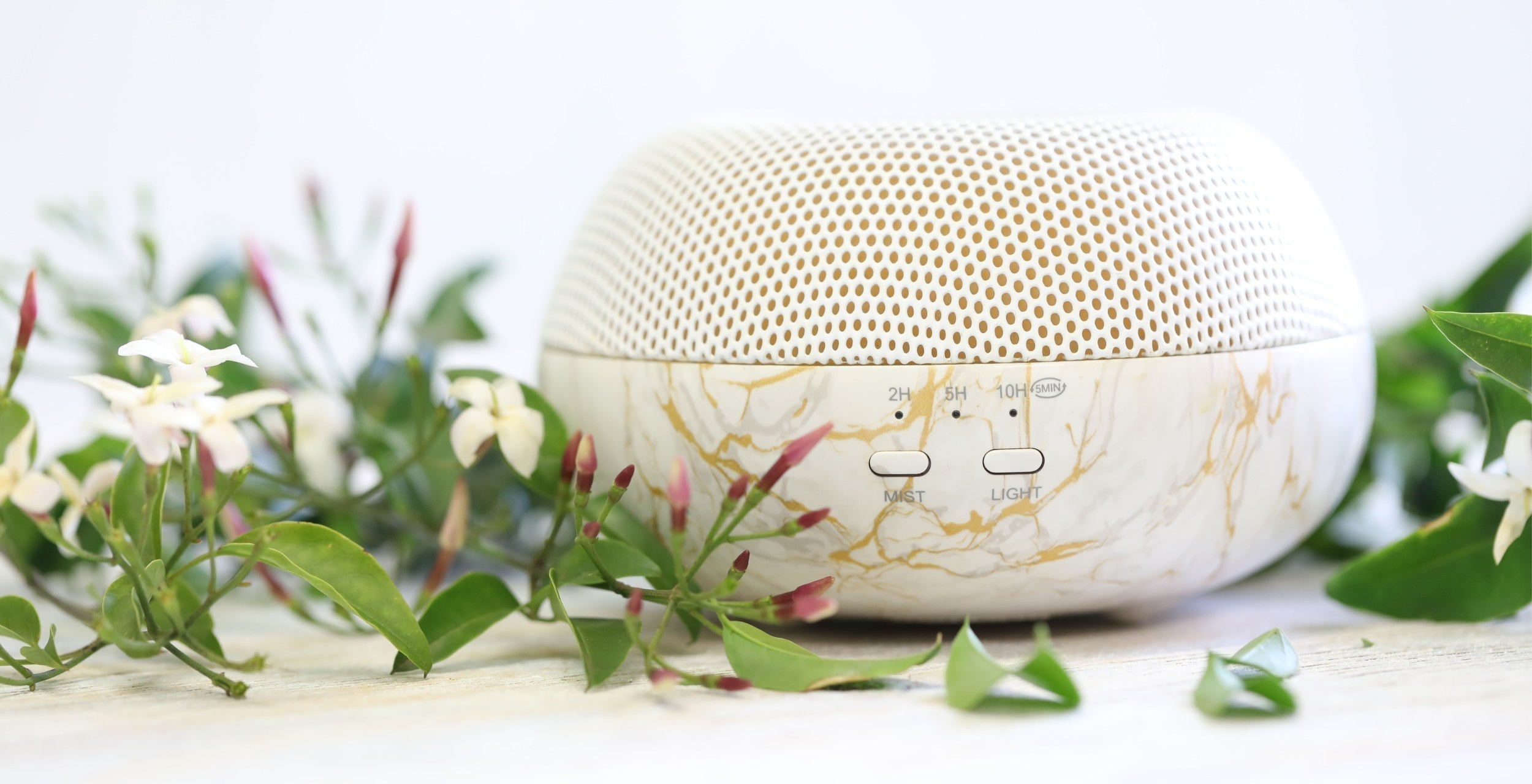 doterra diffuser