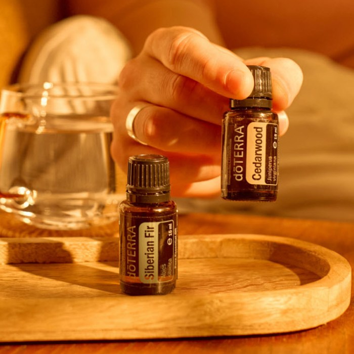 Siberian Fir kaufen & Cedarwood gratis erhalten 