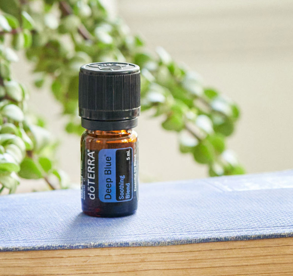 doterra deep blue ölmischung