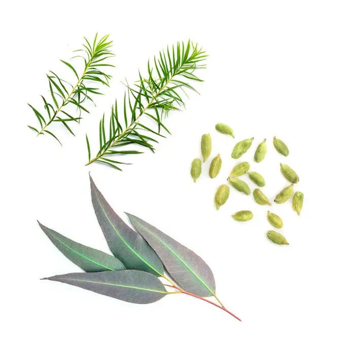 doTERRA Air Pastillen 