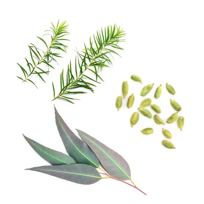 doTERRA Air Touch 