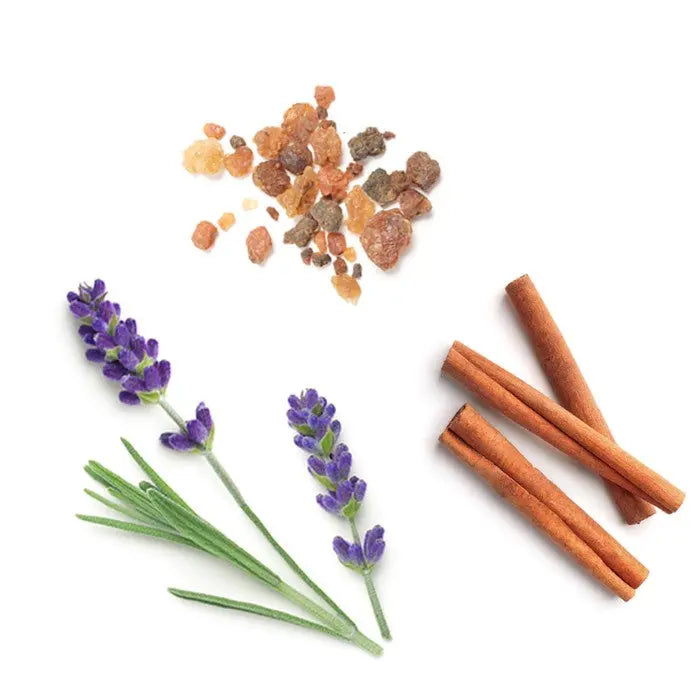 doTERRA Anchor - Stabilisierende Mischung 