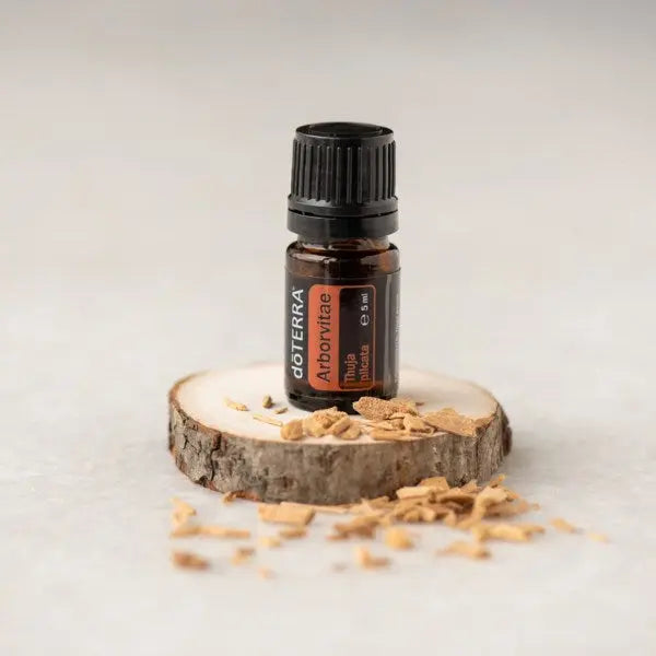 doTERRA Arborvitae (Lebensbaum) - Poweroele Shop
