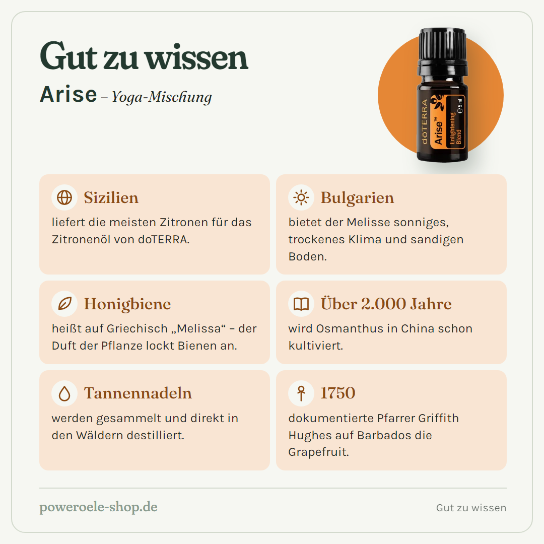 doTERRA Arise - Erleuchtende Mischung - Gut zu wissen