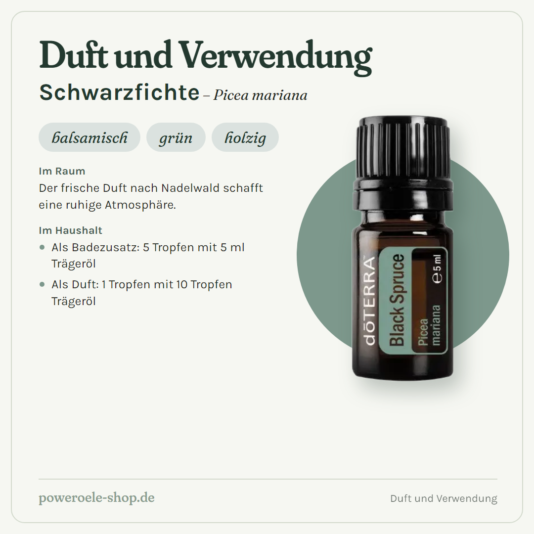 doTERRA Black Spruce (Schwarzfichte) - Duft und Verwendung