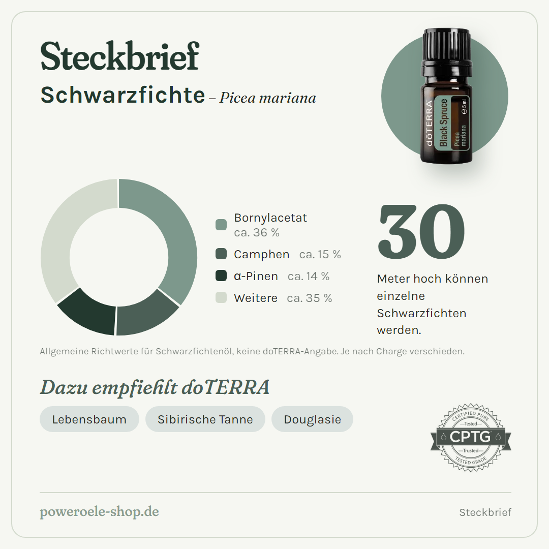 doTERRA Black Spruce (Schwarzfichte) - Steckbrief