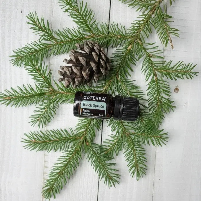doTERRA Black Spruce (Schwarzfichte) - Poweroele Shop