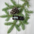 doTERRA Black Spruce (Schwarzfichte) - Poweroele Shop