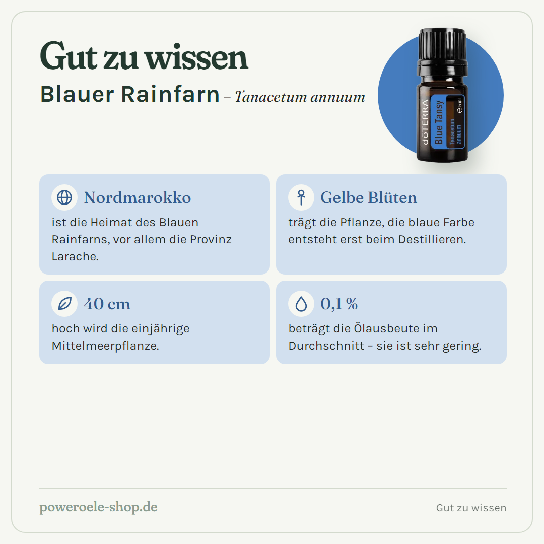 doTERRA Blue Tansy (Blauer Rainfarn) - Gut zu wissen