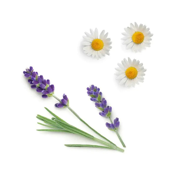 doTERRA Calmer - Erholungsmischung 