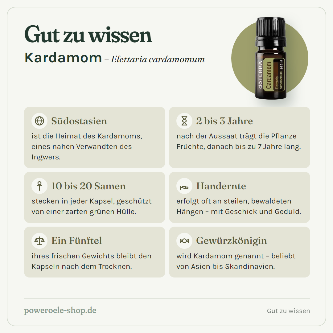 doTERRA Cardamom - Gut zu wissen