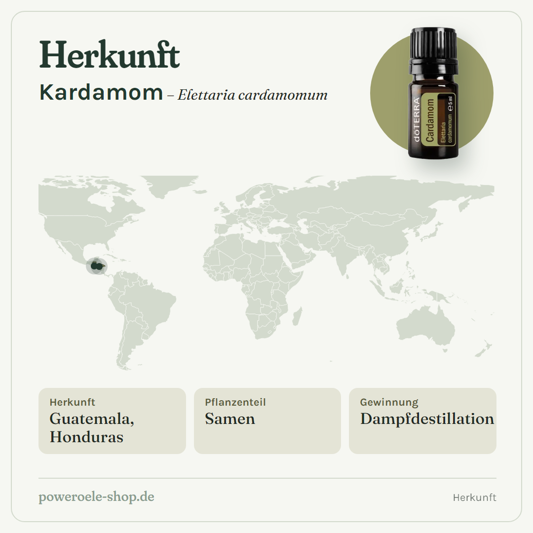 doTERRA Cardamom - Herkunft