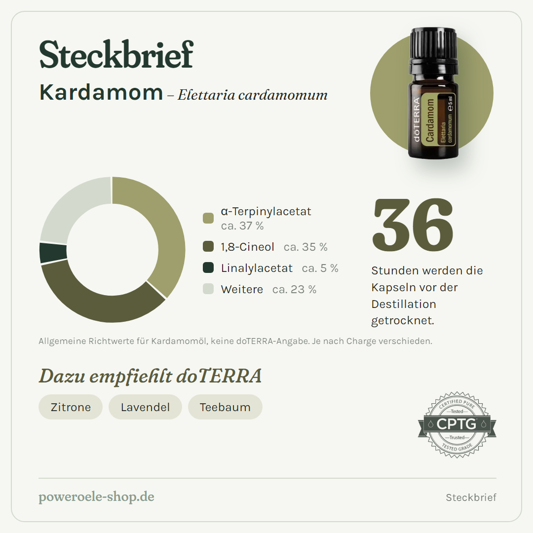doTERRA Cardamom - Steckbrief