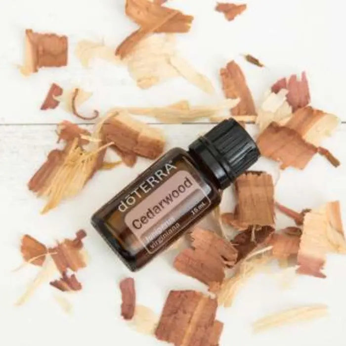 doTERRA Cedarwood (Zeder) - Poweroele Shop
