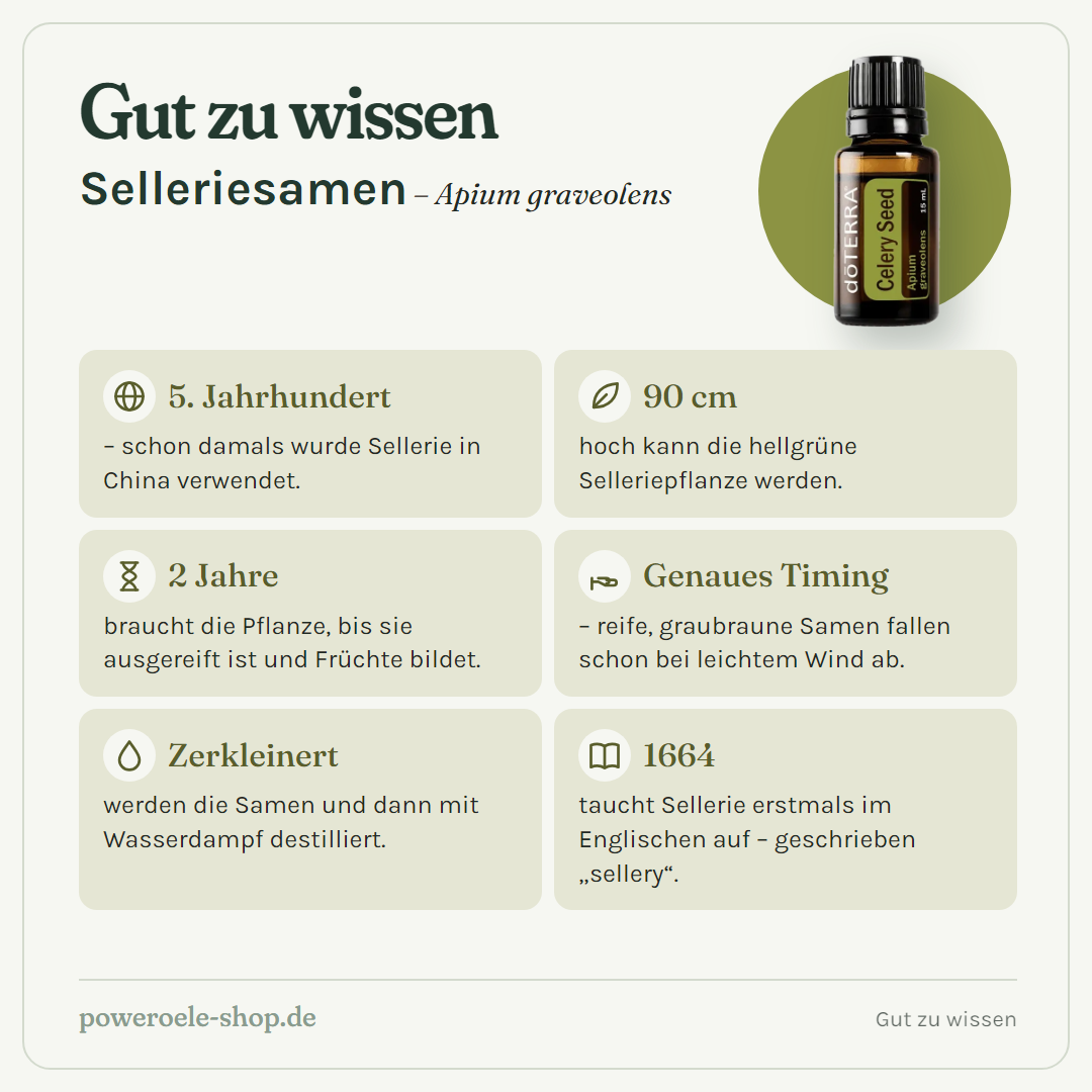 doTERRA Celery Seed (Selleriesamen) - Gut zu wissen