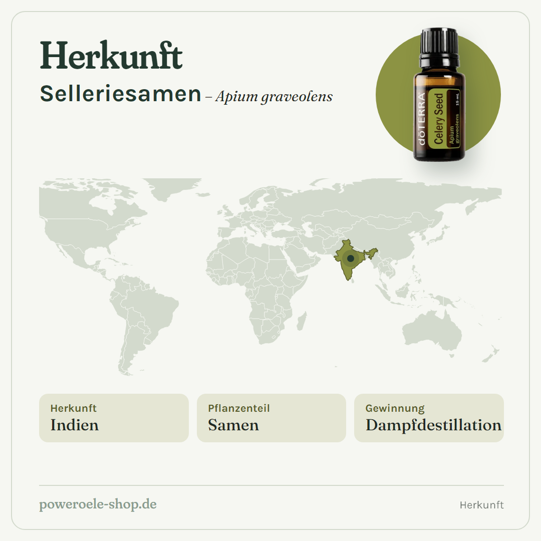 doTERRA Celery Seed (Selleriesamen) - Herkunft