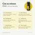 doTERRA Cheer - Erbauende Mischung - Gut zu wissen