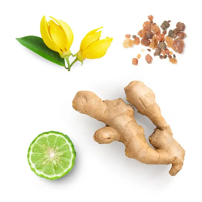 doTERRA Cheer Touch - Erbauende Mischung 