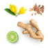 doTERRA Cheer Touch - Erbauende Mischung 
