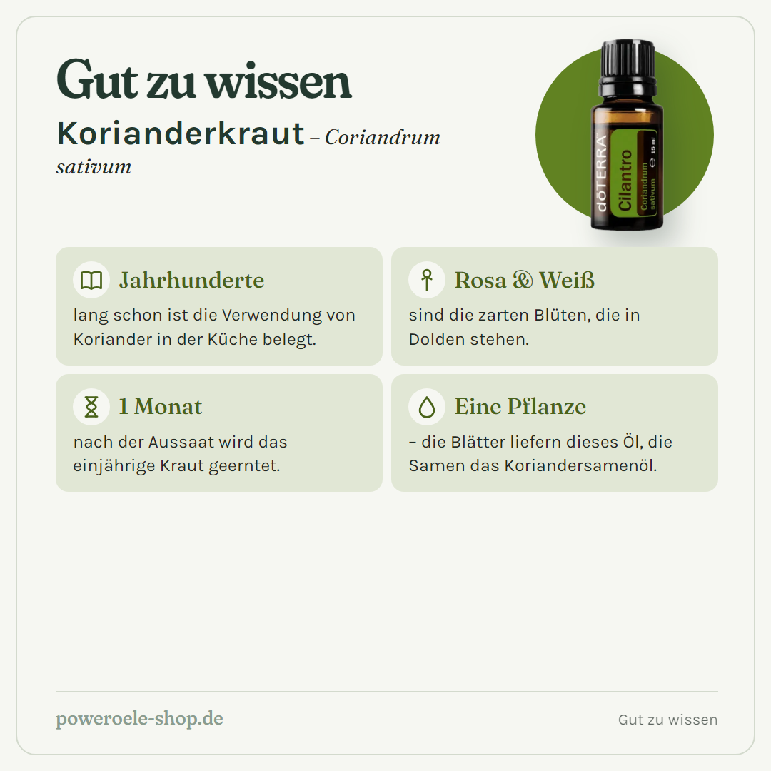 doTERRA Cilantro Korianderkraut - Gut zu wissen