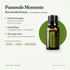 doTERRA Cilantro Korianderkraut - Passende Momente