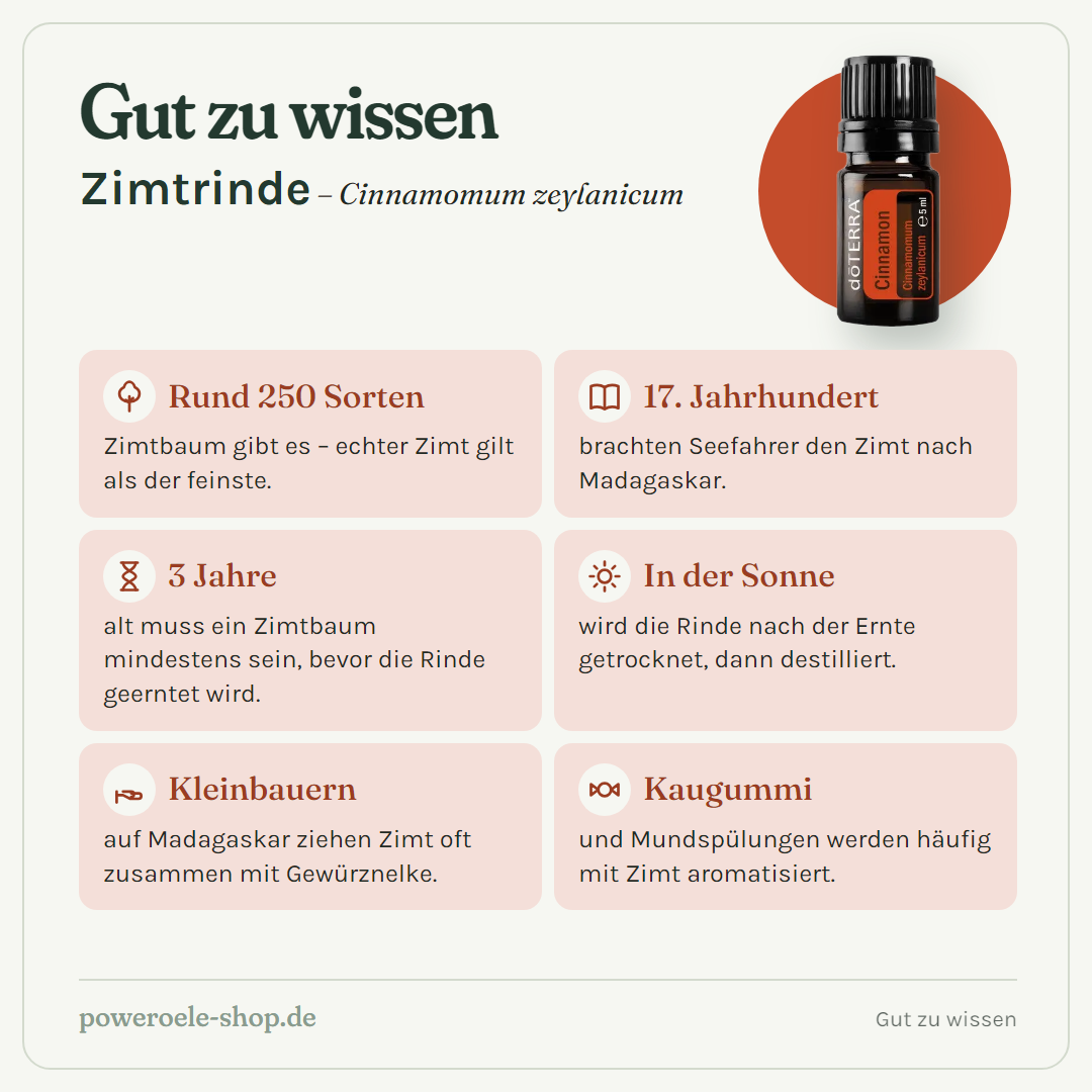 doTERRA Cinnamon Bark (Zimtrinde) - Gut zu wissen