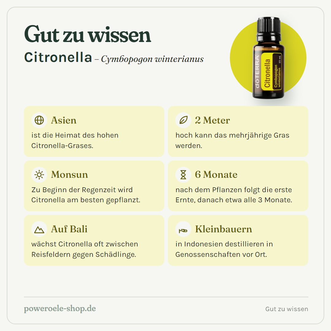 doTERRA Citronella - Gut zu wissen