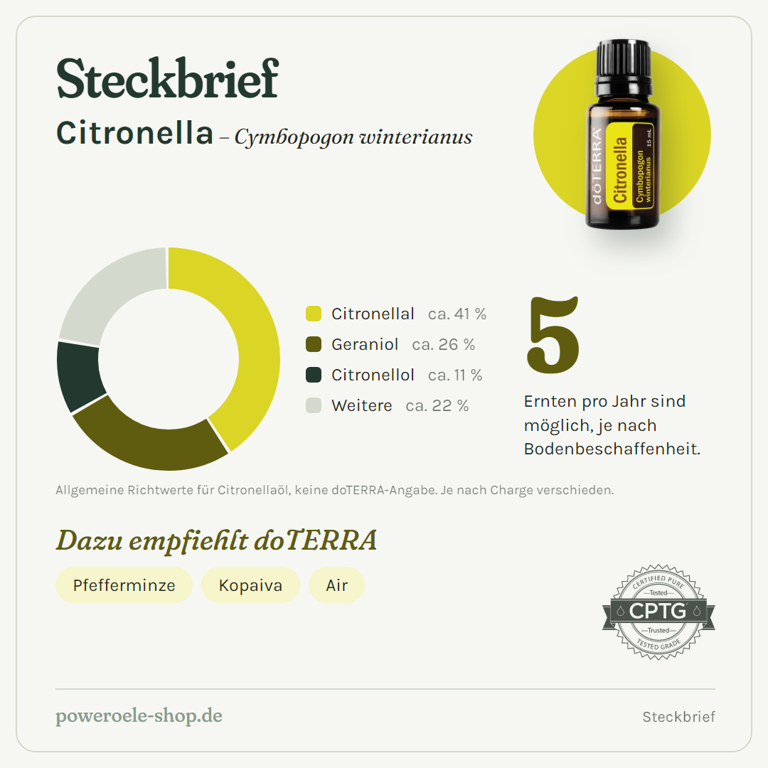 doTERRA Citronella - Steckbrief