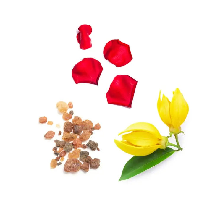 doTERRA Console - Wohltuende Mischung 