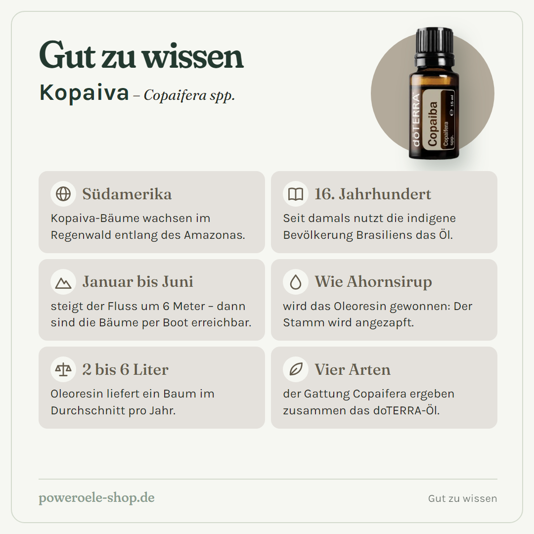 doTERRA Copaiba (Kopaiva) - Gut zu wissen