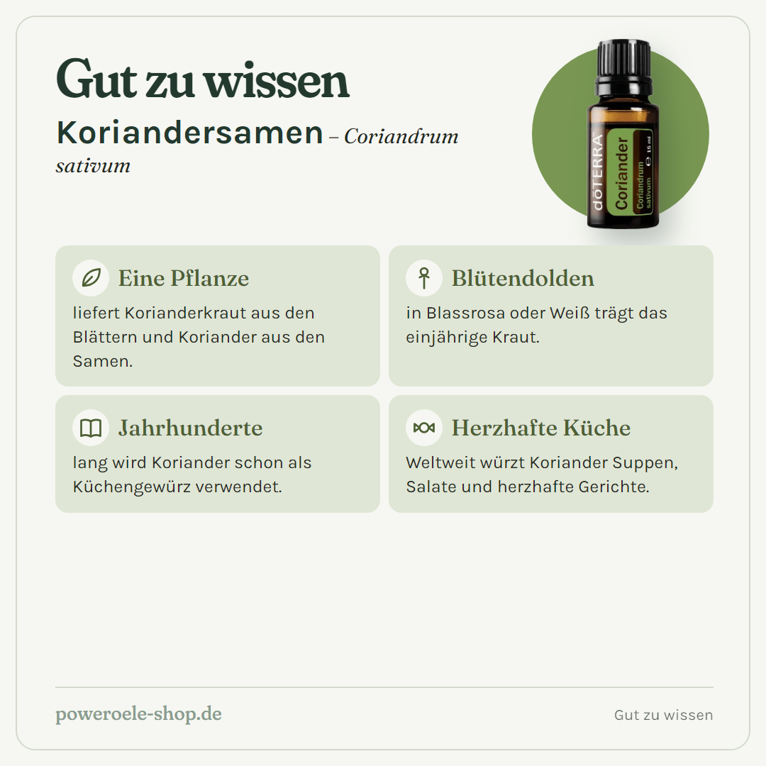 doTERRA Coriander (Koriandersamen) - Gut zu wissen