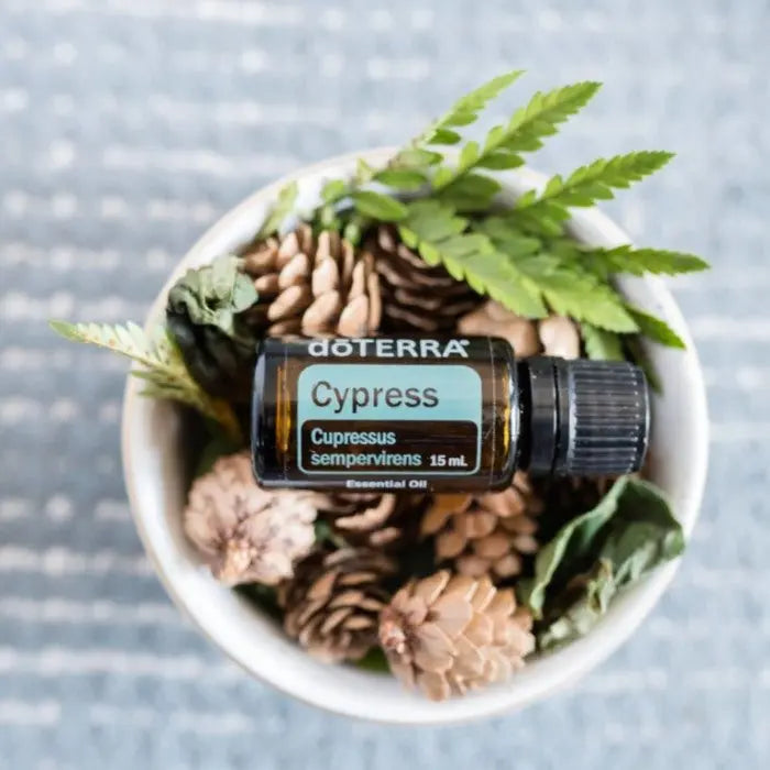 doTERRA Cypress (Zypresse) - Poweroele Shop