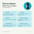 doTERRA DDR Prime Softgels - Gut zu wissen