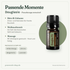 doTERRA Douglas Fir - Passende Momente