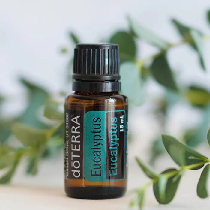 doTERRA Eucalyptus (Eukalyptus) - Poweroele Shop