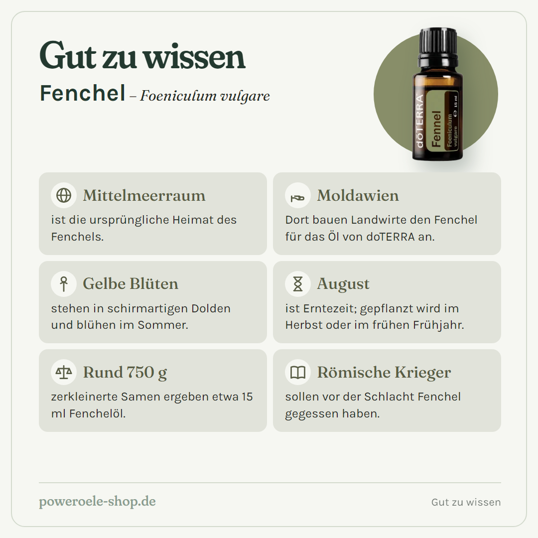 doTERRA Fennel (Süßfenchel) - Gut zu wissen