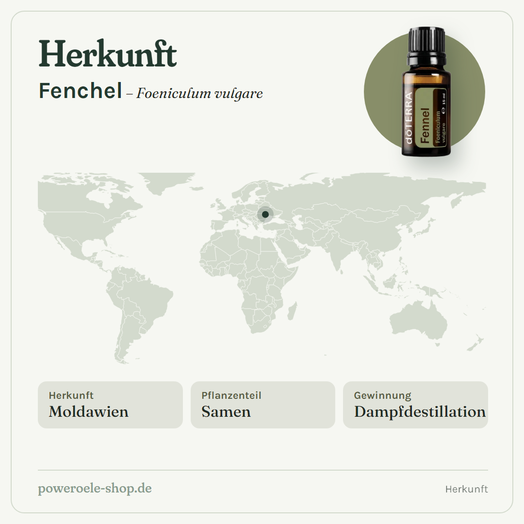 doTERRA Fennel (Süßfenchel) - Herkunft