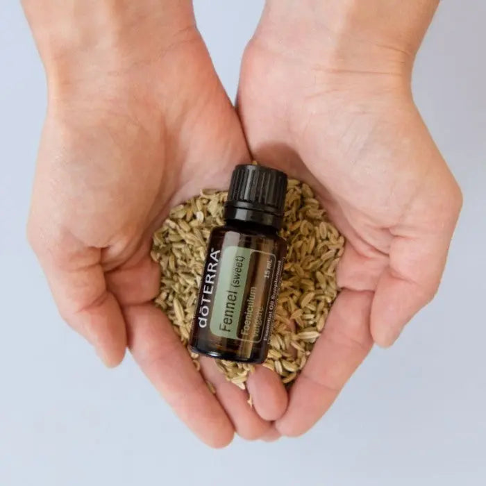doTERRA Fennel (Süßfenchel) - Poweroele Shop