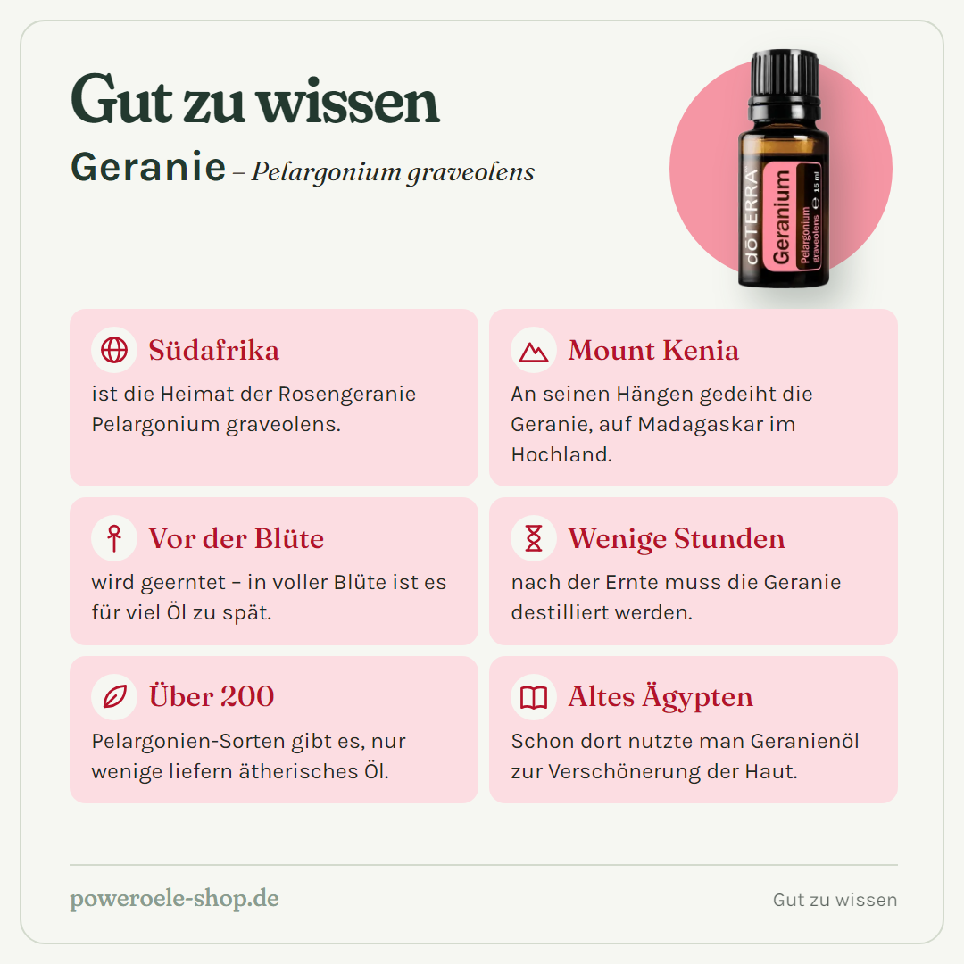doTERRA Geranium (Geranie) - Gut zu wissen