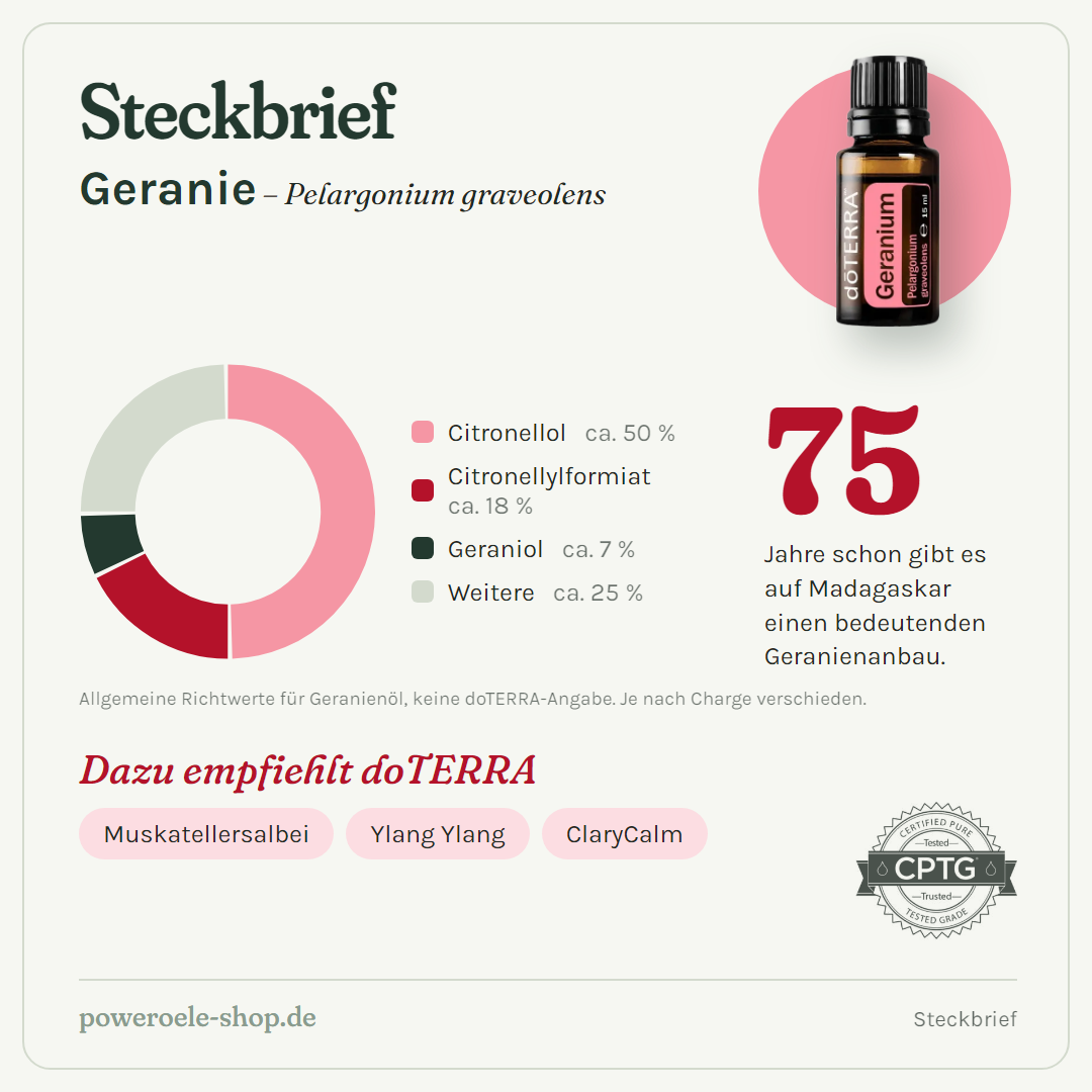 doTERRA Geranium (Geranie) - Steckbrief