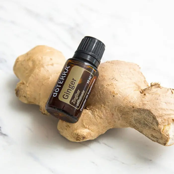 doTERRA Ginger (Ingwer) - Poweroele Shop