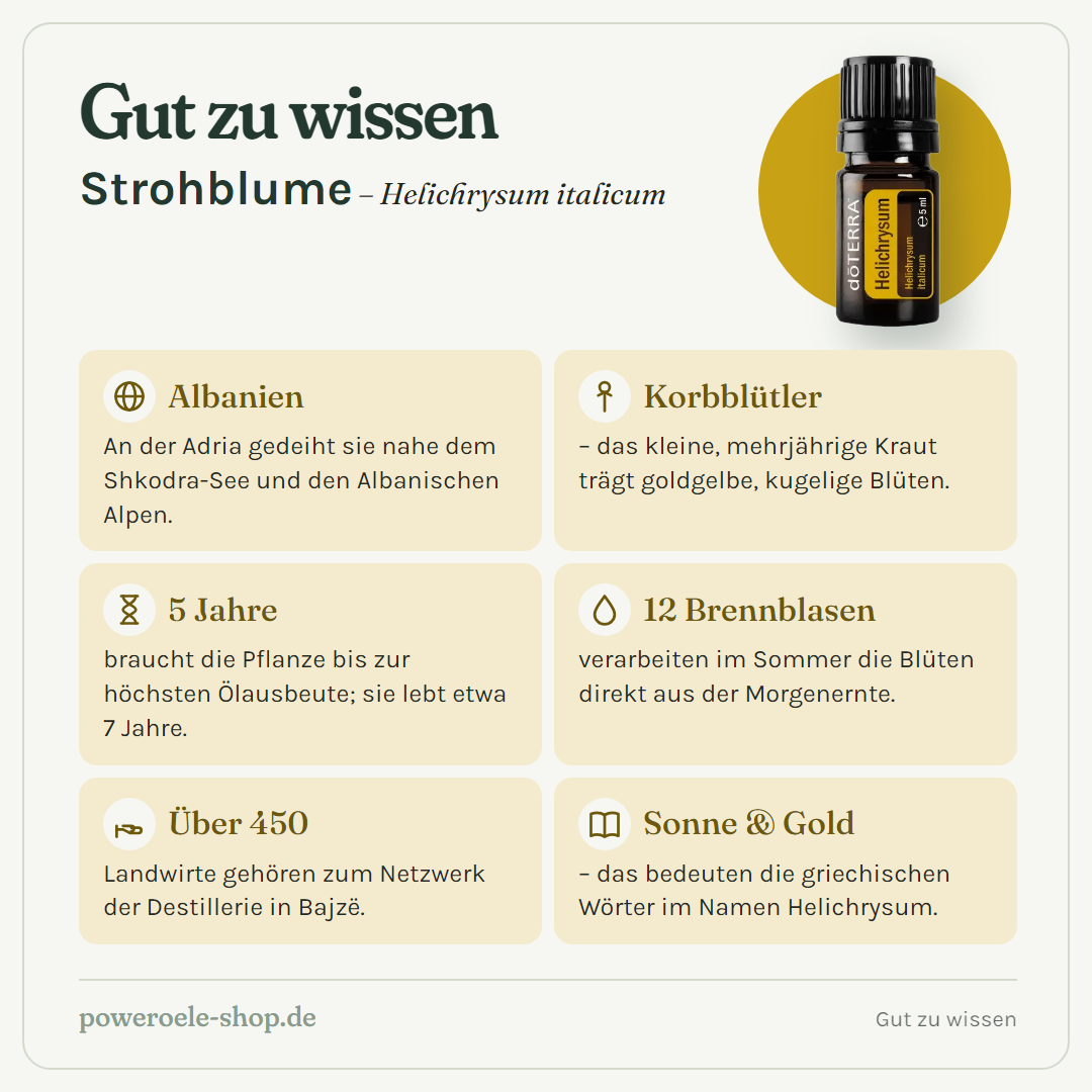 doTERRA Helichrysum Strohblume - Gut zu wissen