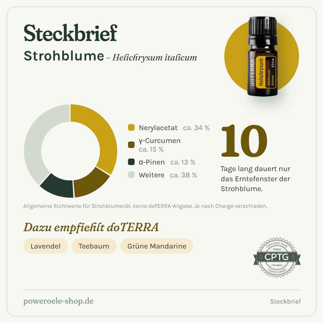 doTERRA Helichrysum Strohblume - Steckbrief