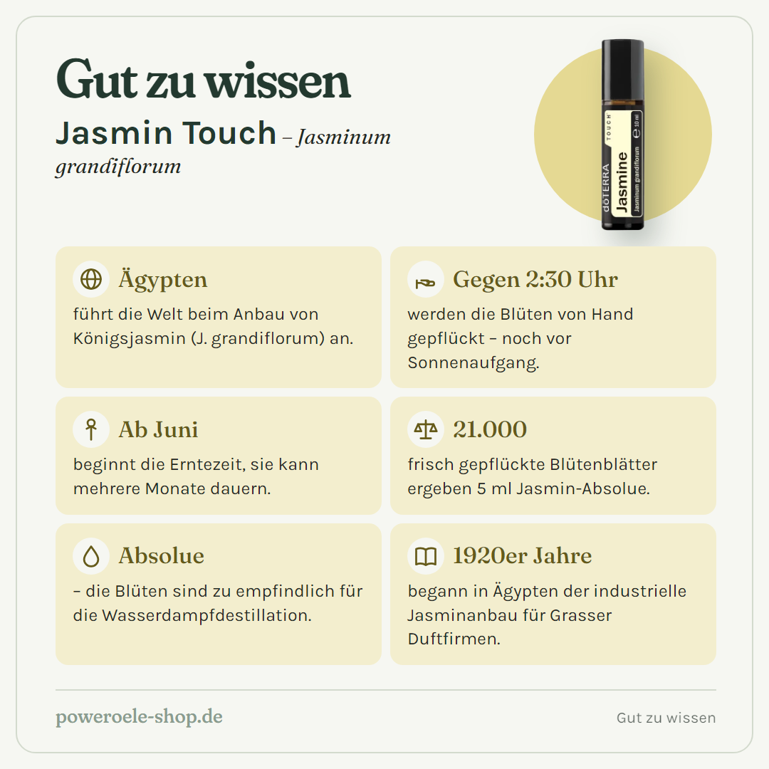 doTERRA Jasmine Touch - Gut zu wissen