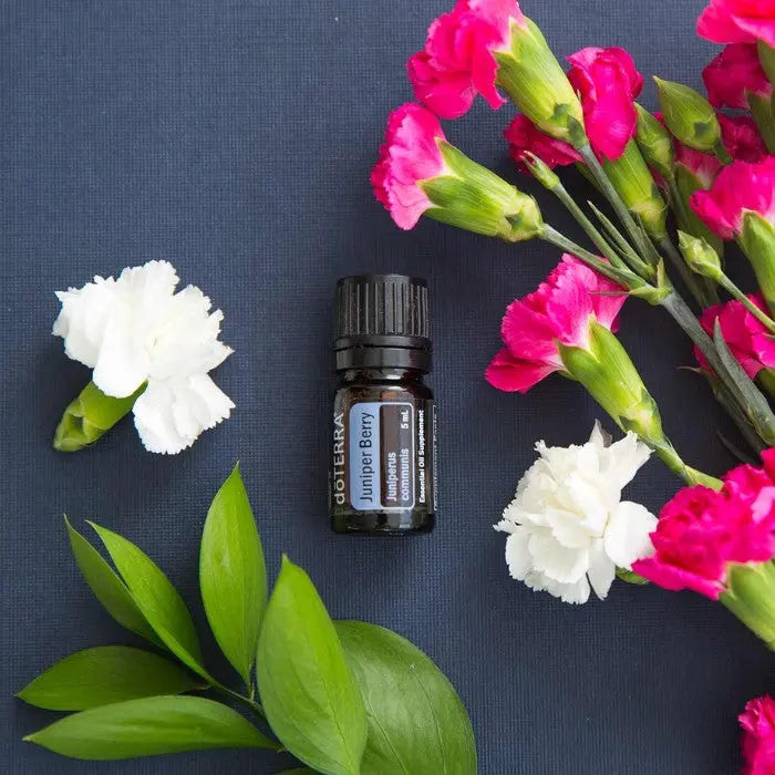 doTERRA Juniper Berry Wacholderbeere 
