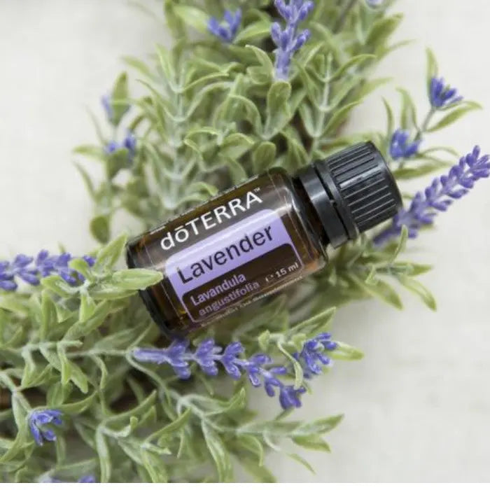 doTERRA Lavendel 