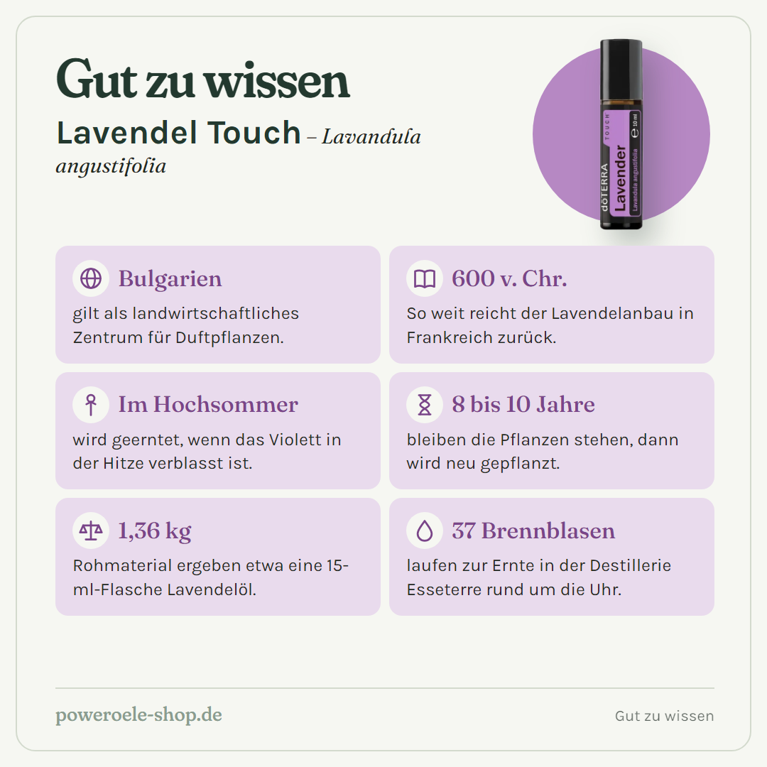 doTERRA Lavender Touch - Gut zu wissen