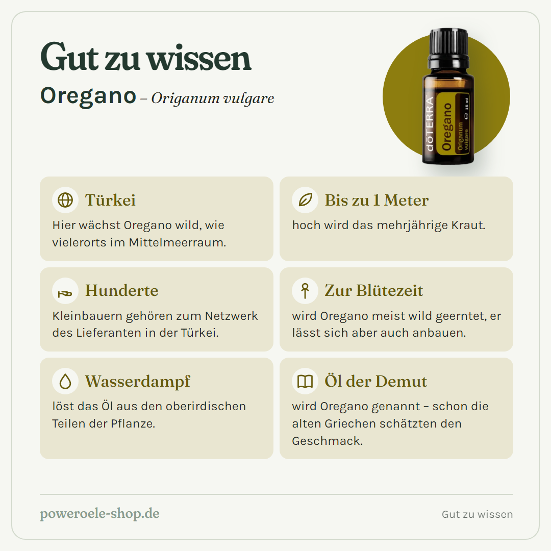 doTERRA Oregano - Gut zu wissen