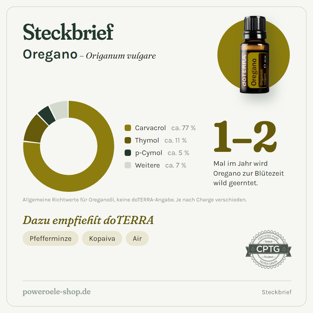 doTERRA Oregano - Steckbrief
