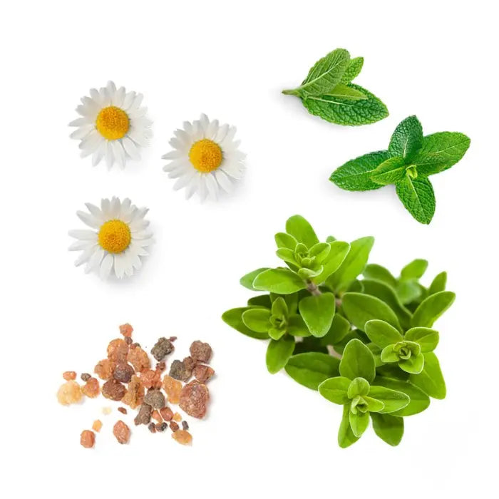 doTERRA PastTense - Entspannende Mischung 